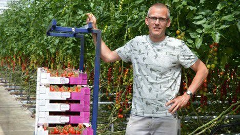 Paul van Paassen - Pépinière de tomates P.J.M. van Paassen - Tomates - Bleiswijk - Pays-Bas