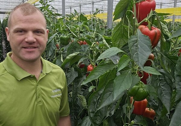 O produtor de pimentos Florain Locher vê o efeito do transmissor ultrassónico de cavitação USAF™ durante o cultivo e a rotação de culturas!